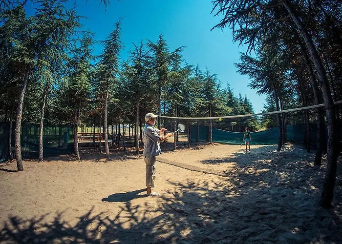 Paradise View * Sunny Beach