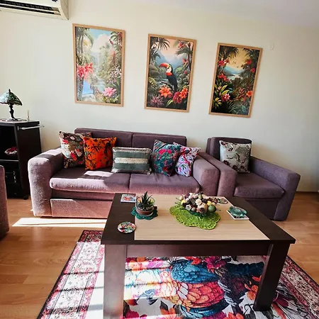 Paradise View Апартаменты Солнечный берег